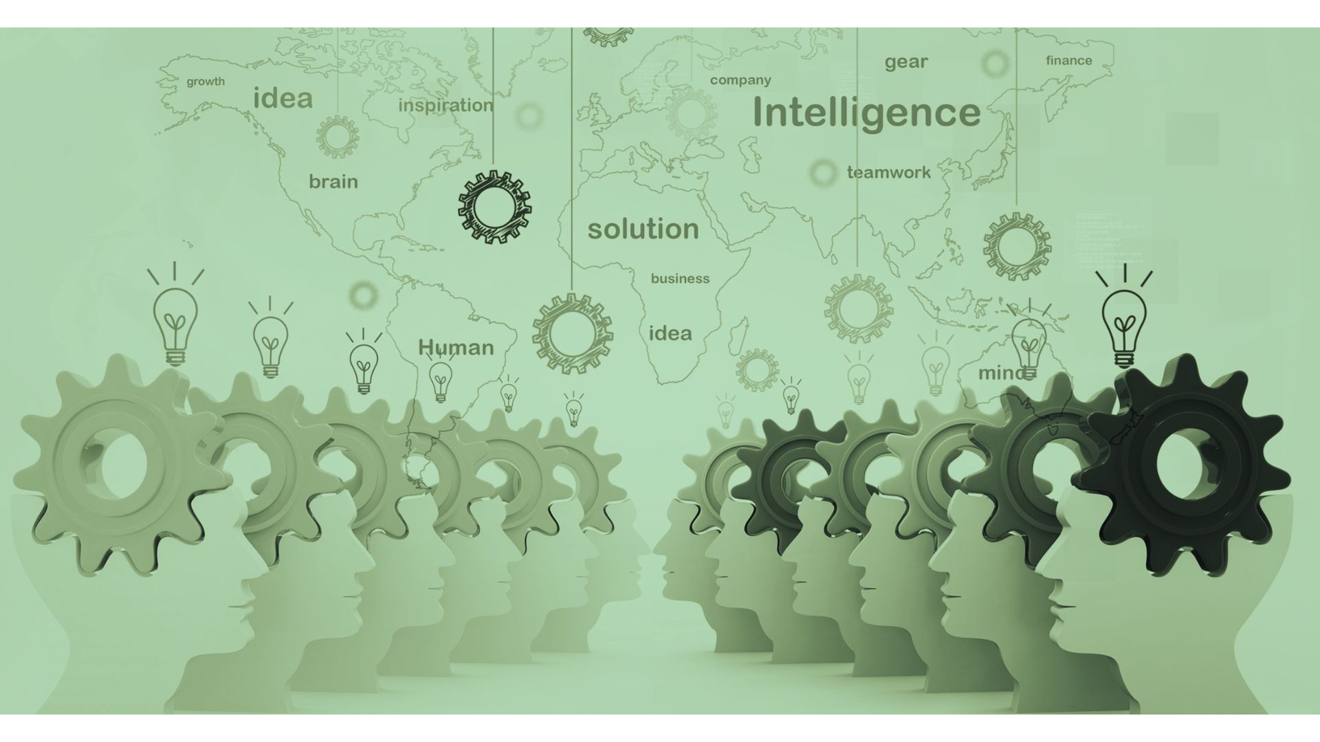 T5 - Vinhedo - Gestores