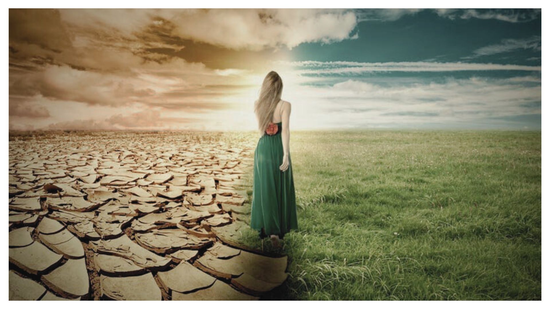 Resolução de Problemas e Tomada de Decisão