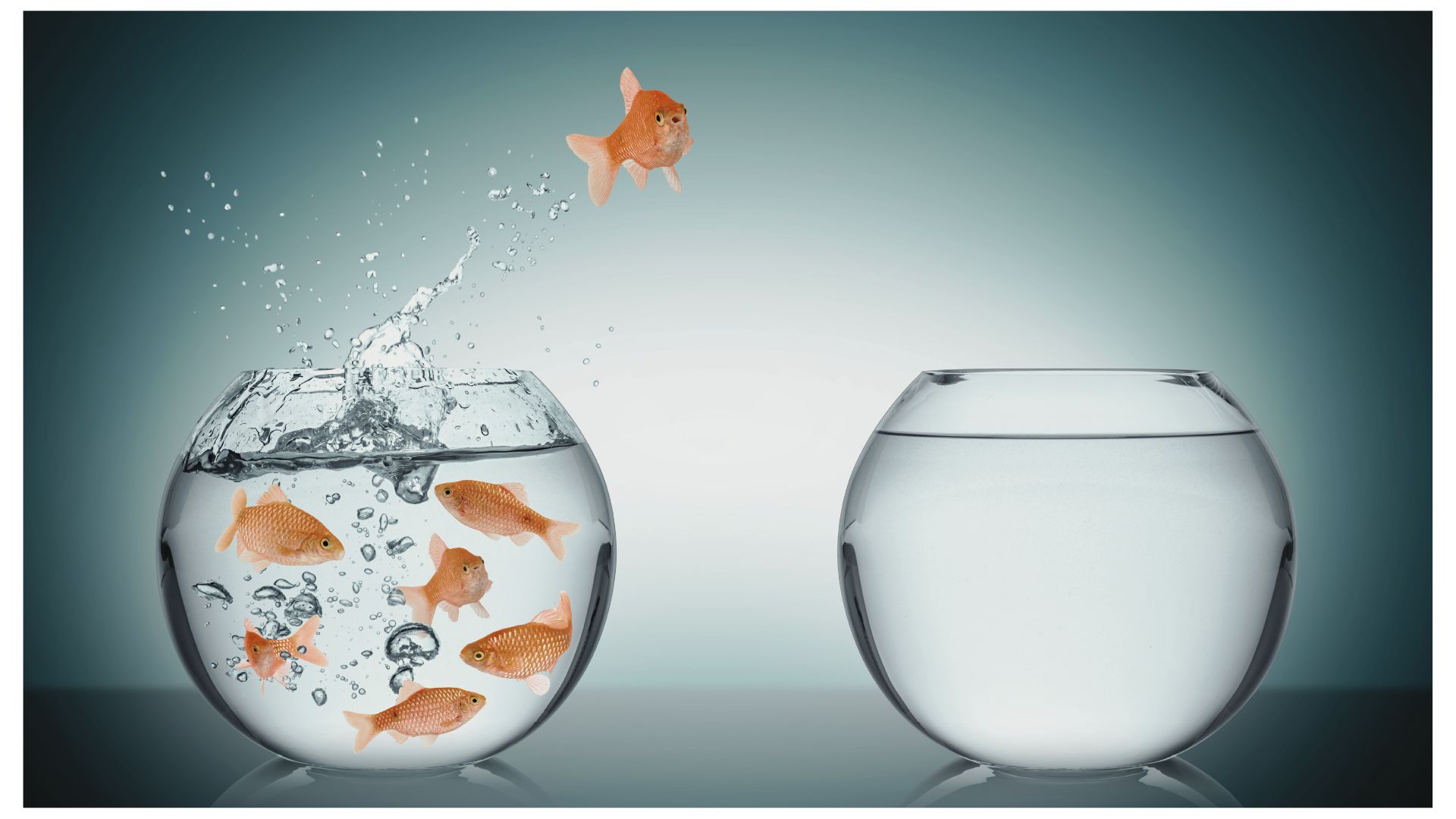 Como Lidar Com Mudanças